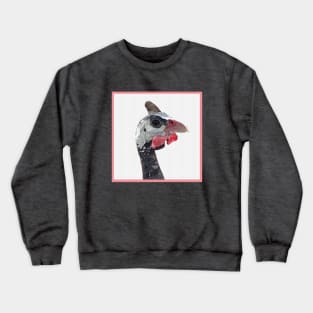 Charles Crewneck Sweatshirt